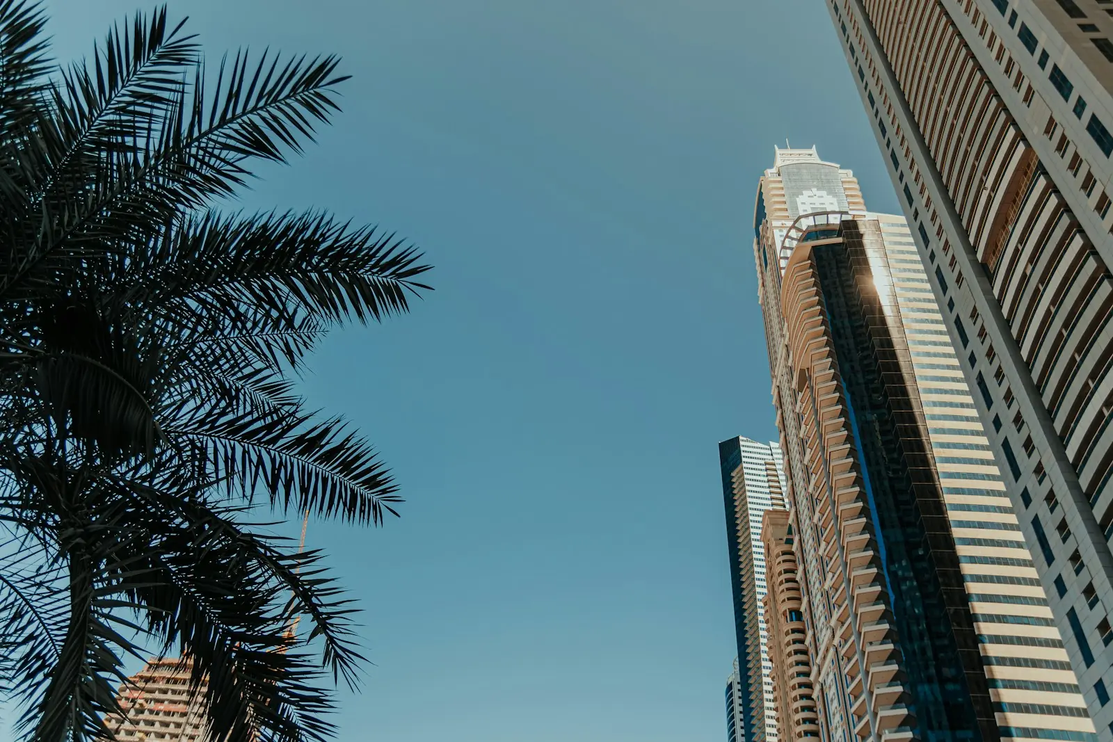 Free zone corporate tax and QFZP qualifying income reviews